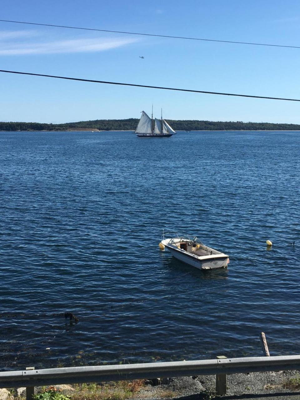 Seawatch Bed & Breakfast Bed and Breakfast Halifax Exterior foto